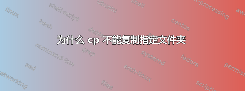 为什么 cp 不能复制指定文件夹