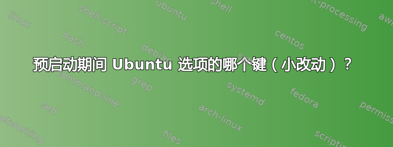 预启动期间 Ubuntu 选项的哪个键（小改动）？