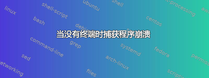 当没有终端时捕获程序崩溃