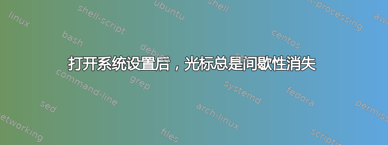 打开系统设置后，光标总是间歇性消失