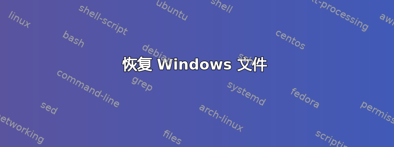 恢复 Windows 文件