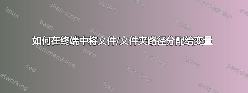 如何在终端中将文件/文件夹路径分配给变量