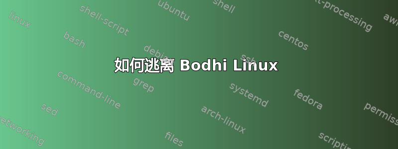 如何逃离 Bodhi Linux