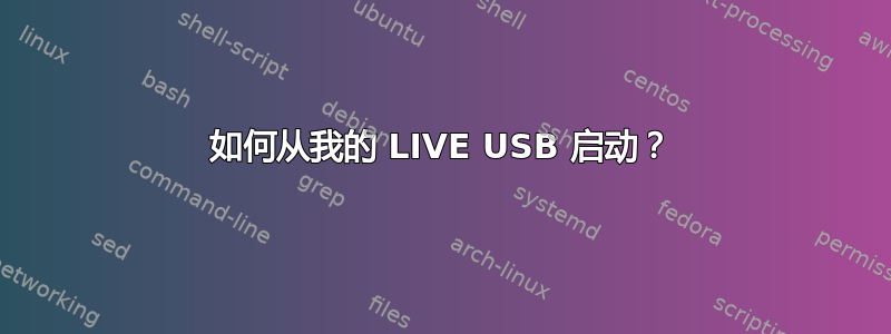 如何从我的 LIVE USB 启动？