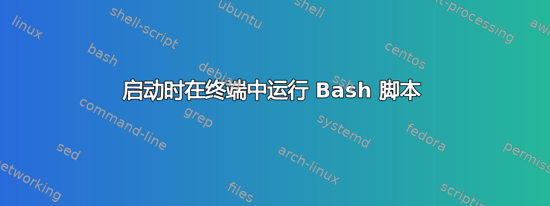 启动时在终端中运行 Bash 脚本