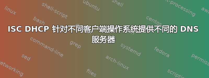 ISC DHCP 针对不同客户端操作系统提供不同的 DNS 服务器