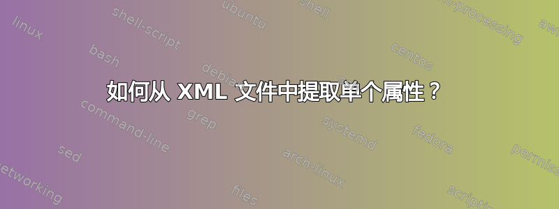 如何从 XML 文件中提取单个属性？