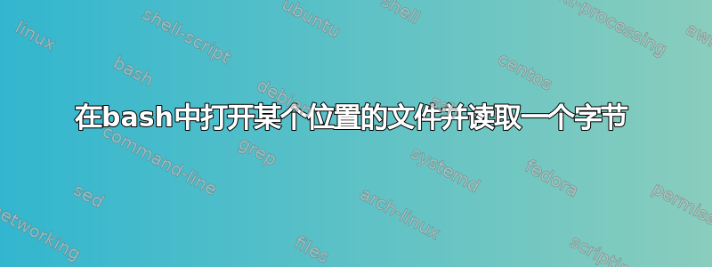 在bash中打开某个位置的文件并读取一个字节