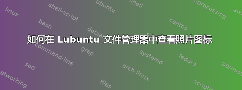 如何在 Lubuntu 文件管理器中查看照片图标