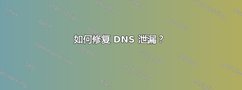 如何修复 DNS 泄漏？