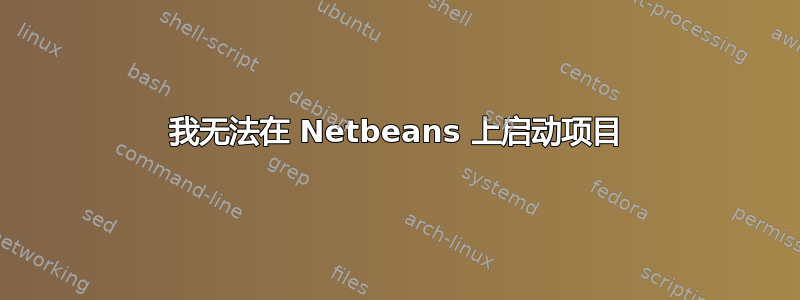 我无法在 Netbeans 上启动项目