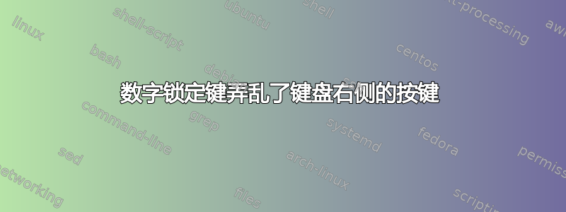 数字锁定键弄乱了键盘右侧的按键