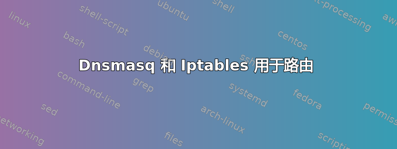 Dnsmasq 和 Iptables 用于路由