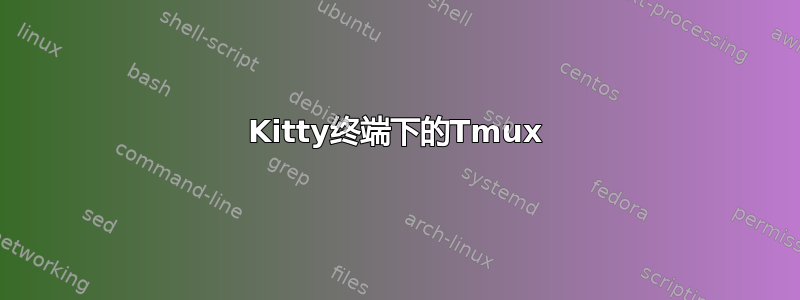 Kitty终端下的Tmux