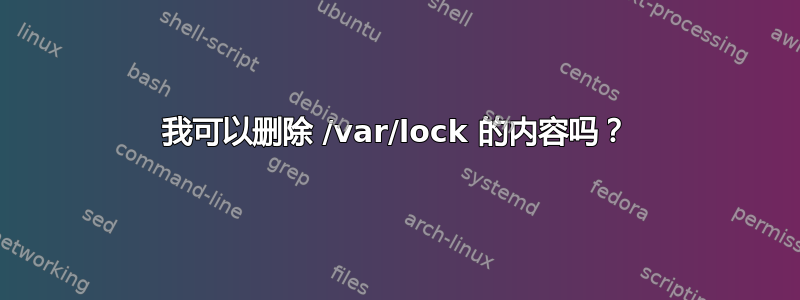 我可以删除 /var/lock 的内容吗？