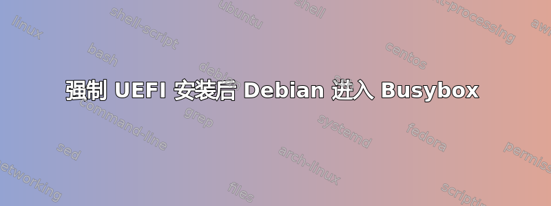 强制 UEFI 安装后 Debian 进入 Busybox