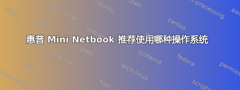 惠普 Mini Netbook 推荐使用哪种操作系统 