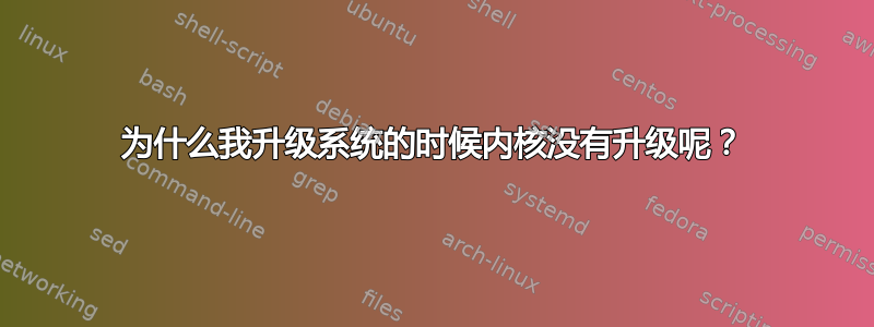 为什么我升级系统的时候内核没有升级呢？