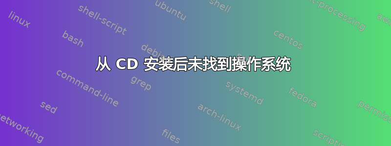 从 CD 安装后未找到操作系统