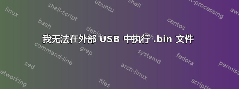 我无法在外部 USB 中执行 .bin 文件