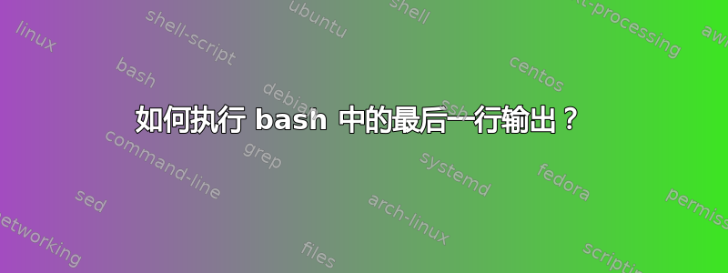 如何执行 bash 中的最后一行输出？