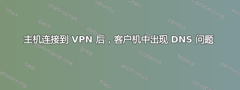 主机连接到 VPN 后，客户机中出现 DNS 问题