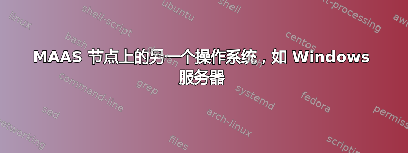 MAAS 节点上的另一个操作系统，如 Windows 服务器