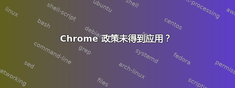 Chrome 政策未得到应用？