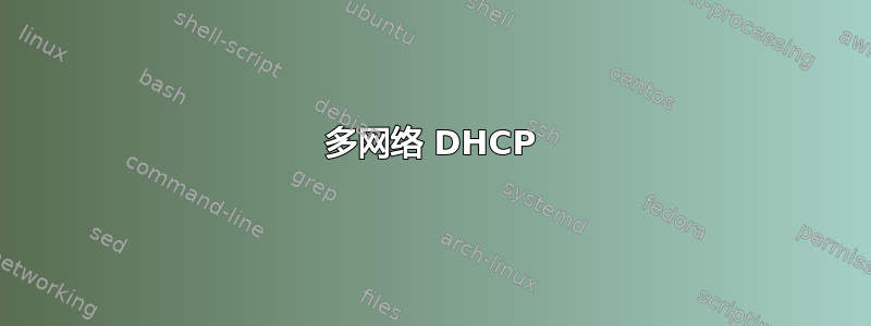 多网络 DHCP