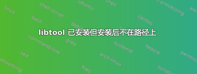 libtool 已安装但安装后不在路径上