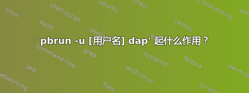 `pbrun -u [用户名] dap' 起什么作用？