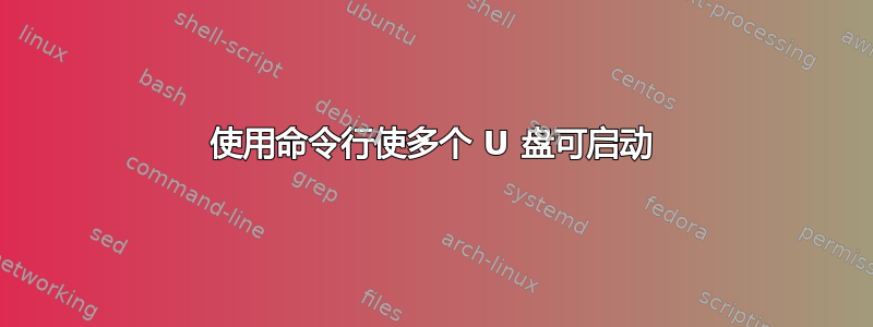 使用命令行使多个 U 盘可启动