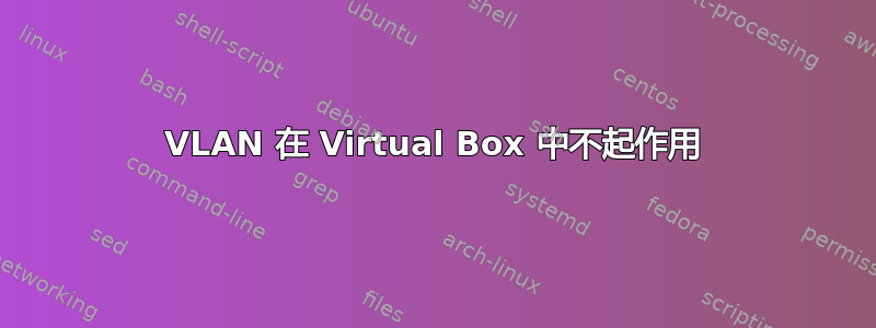 VLAN 在 Virtual Box 中不起作用