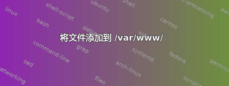 将文件添加到 /var/www/ 