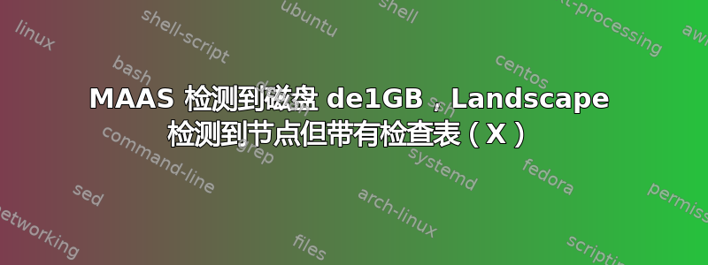 MAAS 检测到磁盘 de1GB，Landscape 检测到节点但带有检查表（X）