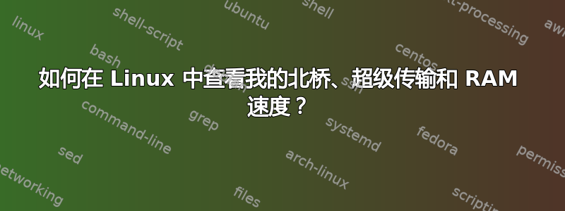 如何在 Linux 中查看我的北桥、超级传输和 RAM 速度？