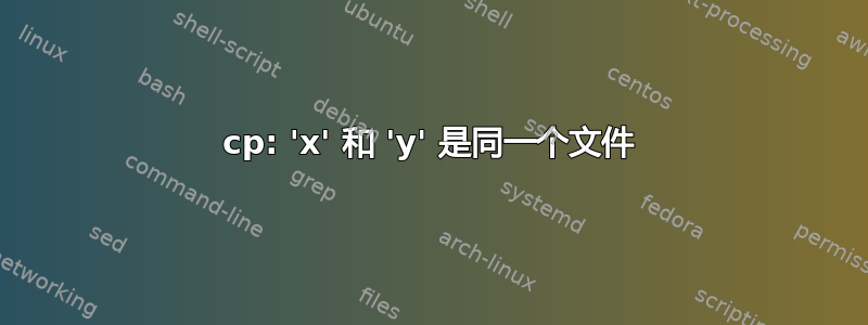 cp: 'x' 和 'y' 是同一个文件