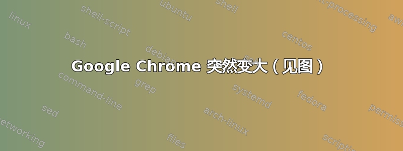 Google Chrome 突然变大（见图）