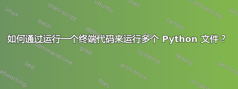 如何通过运行一个终端代码来运行多个 Python 文件？