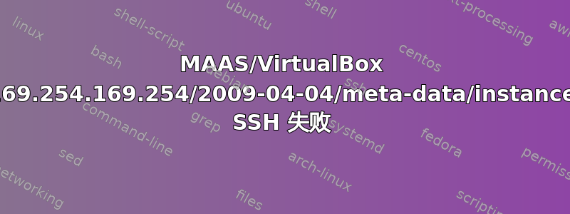 MAAS/VirtualBox 调用“http://169.254.169.254/2009-04-04/meta-data/instance-id”失败并且 SSH 失败