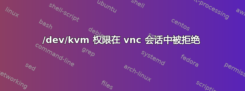 /dev/kvm 权限在 vnc 会话中被拒绝