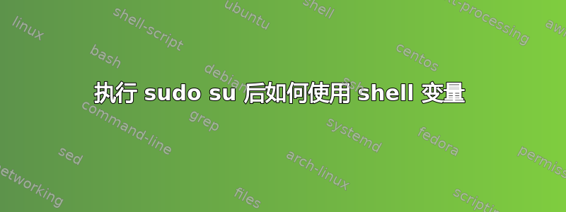 执行 sudo su 后如何使用 shell 变量