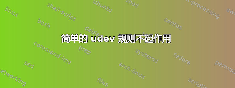 简单的 udev 规则不起作用