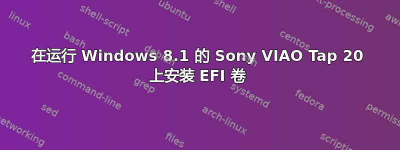 在运行 Windows 8.1 的 Sony VIAO Tap 20 上安装 EFI 卷