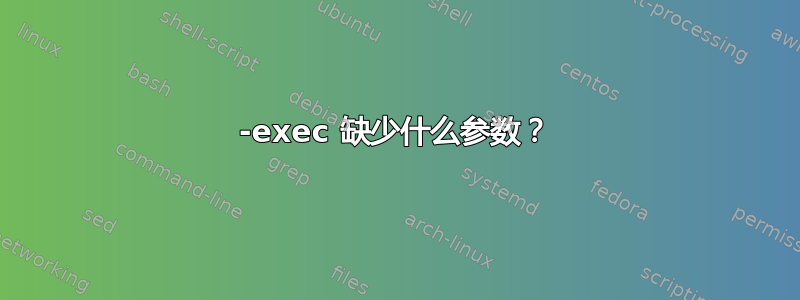 -exec 缺少什么参数？