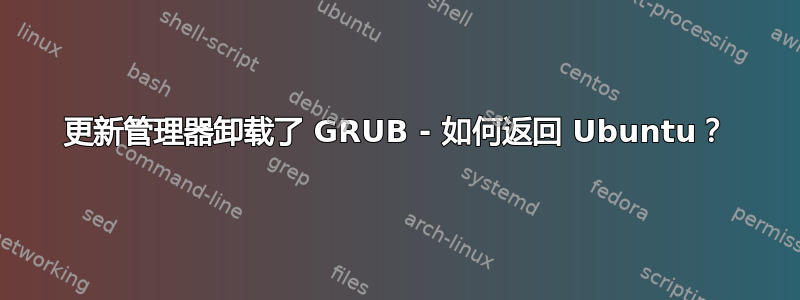 更新管理器卸载了 GRUB - 如何返回 Ubuntu？