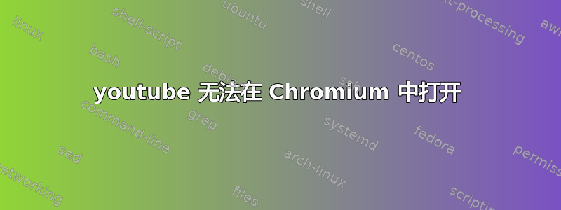 youtube 无法在 Chromium 中打开