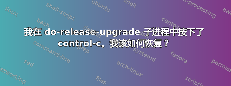 我在 do-release-upgrade 子进程中按下了 control-c。我该如何恢复？