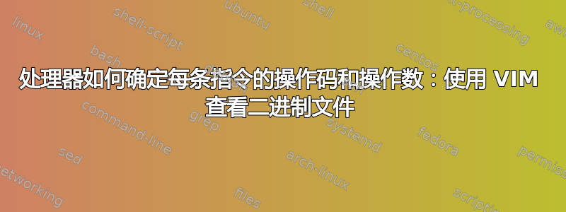 处理器如何确定每条指令的操作码和操作数：使用 VIM 查看二进制文件