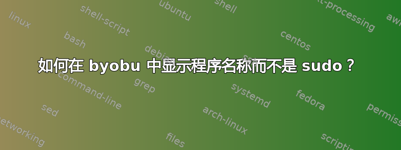 如何在 byobu 中显示程序名称而不是 sudo？